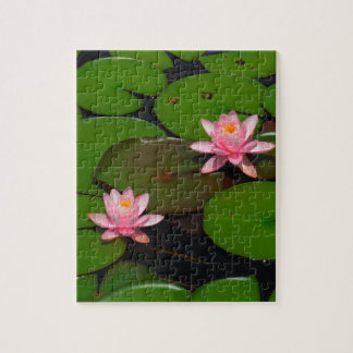 Pink lotus water lily flower  garden, jigsaw puzzle