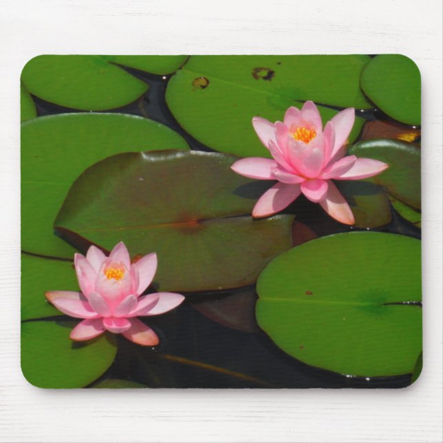 Pink lotus water lily flower  garden, mouse mat (Front)