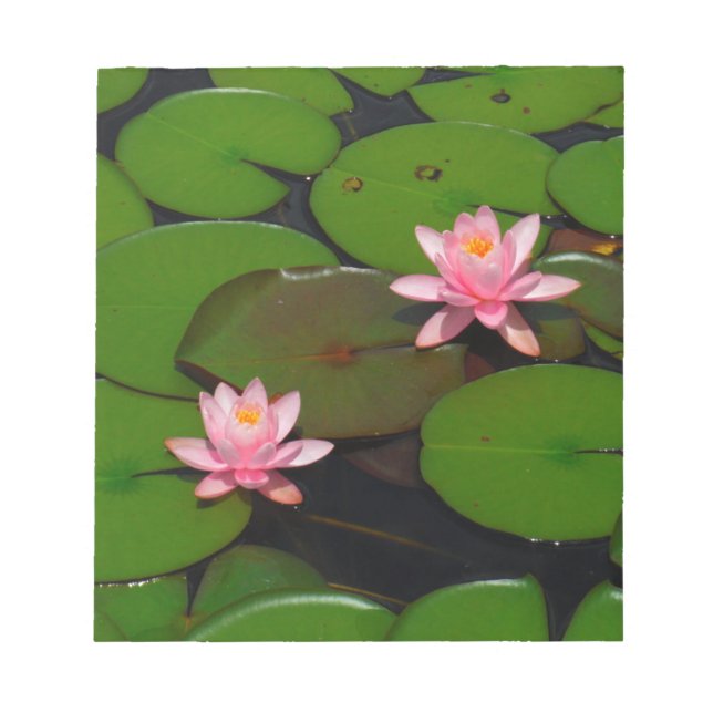 Pink lotus water lily flower  garden, notepad (Front)