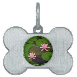Pink lotus water lily flower  garden, pet ID tag