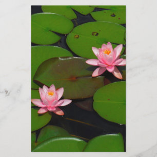 Pink lotus water lily flower  garden, stationery