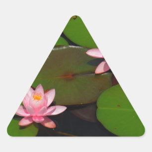 Pink lotus water lily flower garden, triangle sticker