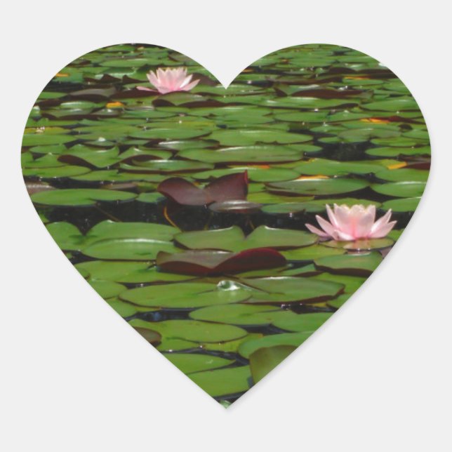 Pink lotus water lily flower pond heart sticker (Front)
