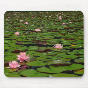 Pink lotus water lily flower pond mouse mat