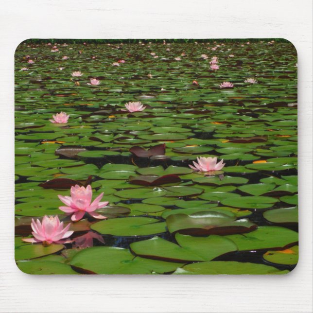 Pink lotus water lily flower pond mouse mat (Front)