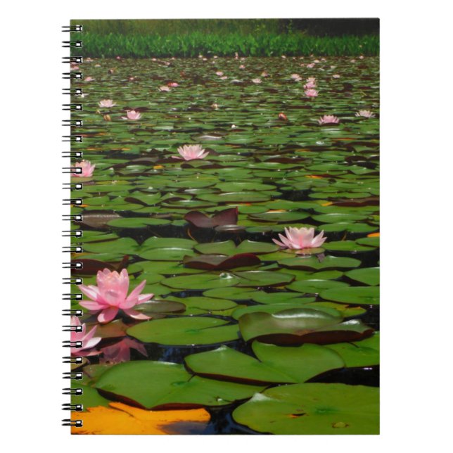 Pink lotus water lily flower pond notebook (Front)