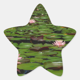 Pink lotus water lily flower pond star sticker