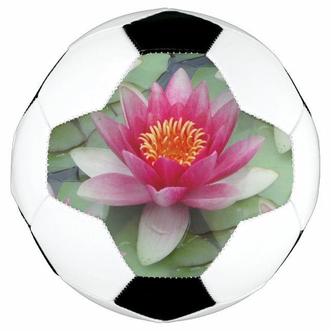 Pink Lotus Water Lily Football (Front)