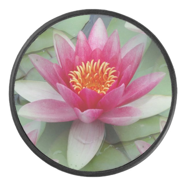 Pink Lotus Water Lily Hockey Puck (Front)
