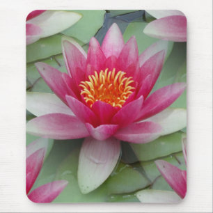 Pink Lotus Water Lily Mouse Mat