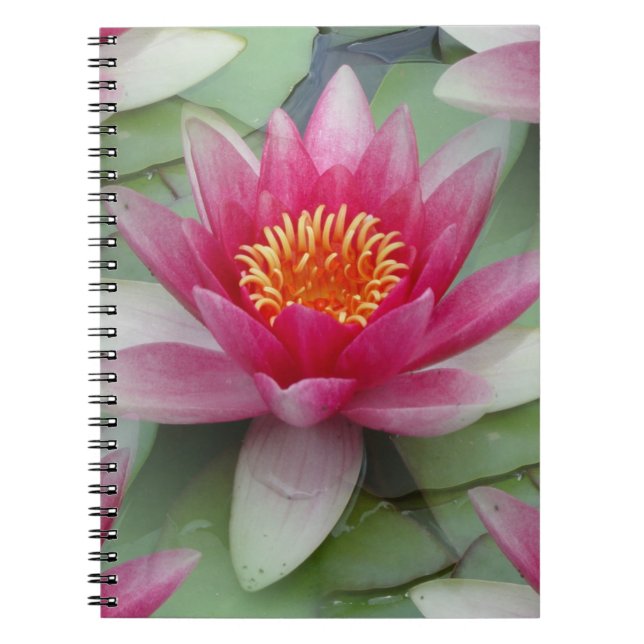 Pink Lotus Water Lily Notebook (Front)