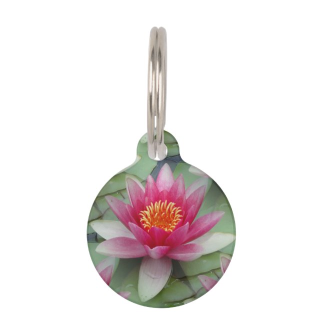 Pink Lotus Water Lily Pet Tag (Front)