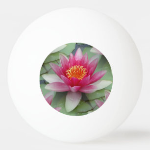 Pink Lotus Water Lily Ping Pong Ball