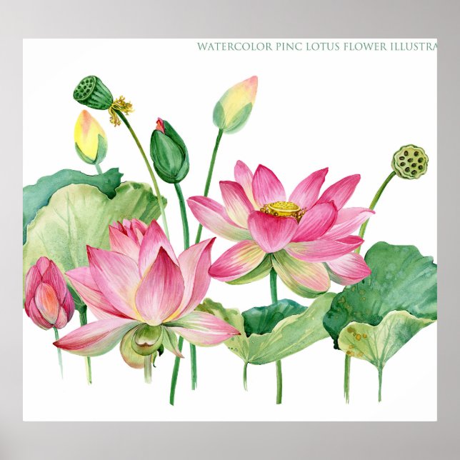 Pink Lotus Watercolor Border Poster (Front)