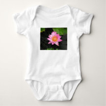 Pink Lotus Waterlily