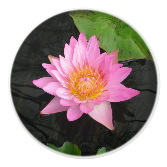 Pink Lotus Waterlily Ceramic Knob (Front)