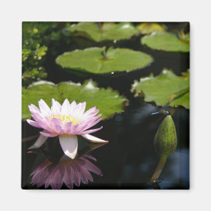 Pink Lotus Waterlily Dragonfly magnet