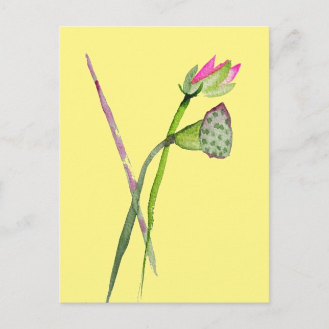 Pink Lotus Zen flower Buddhist Art Postcard (Front)