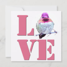 Pink LOVE Anna's Hummingbird Photo Flat Card