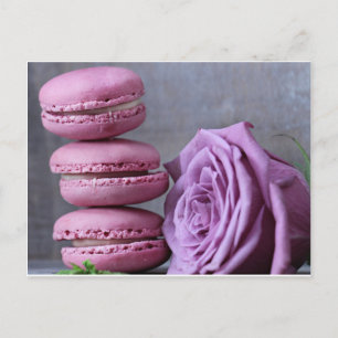 Pink Macarons Purple Rose French Pastry Postcard