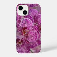 Pink Magenta Orchid Flowers