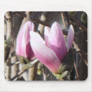Pink Magnolia Blossom Mouse Mat