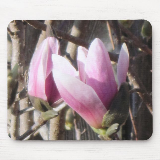 Pink Magnolia Blossom Mouse Mat (Front)