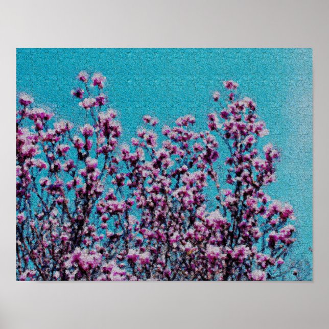Pink Magnolia Blossoms Blue Sky Photo Painting Poster (Front)