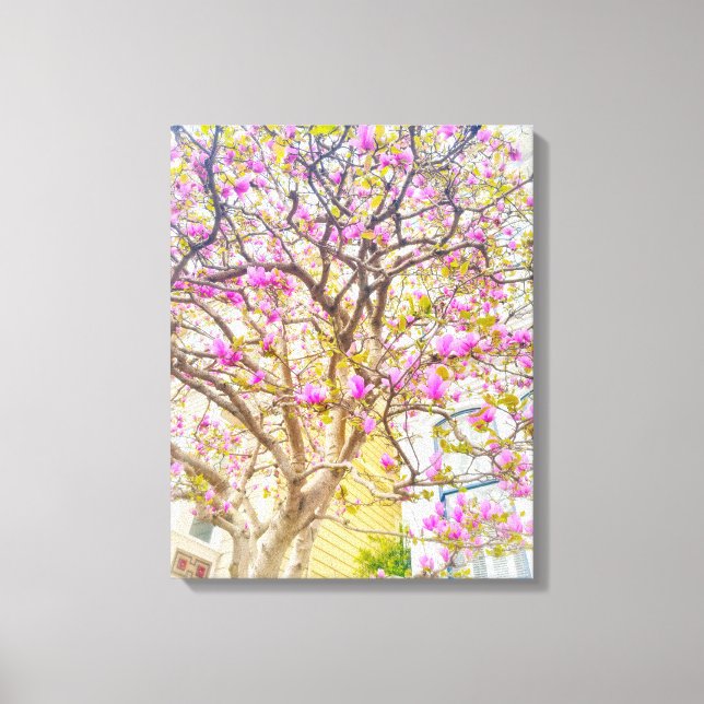 Pink Magnolia Blossoms  Canvas Print (Front)
