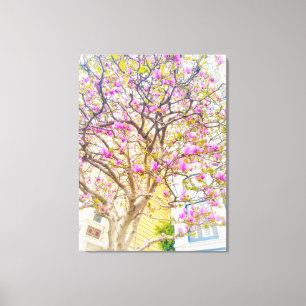 Pink Magnolia Blossoms Canvas Print