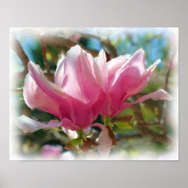 Pink Magnolia Blossoms Flower Art Photo Painting Poster (Front)