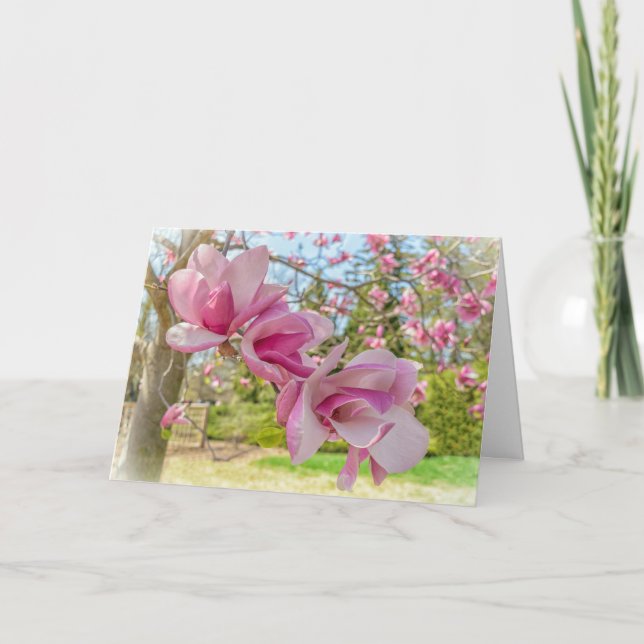 Pink Magnolia Blossoms Photo Greeting Card (Front)