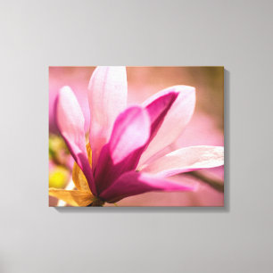 Pink Magnolia Canvas Print