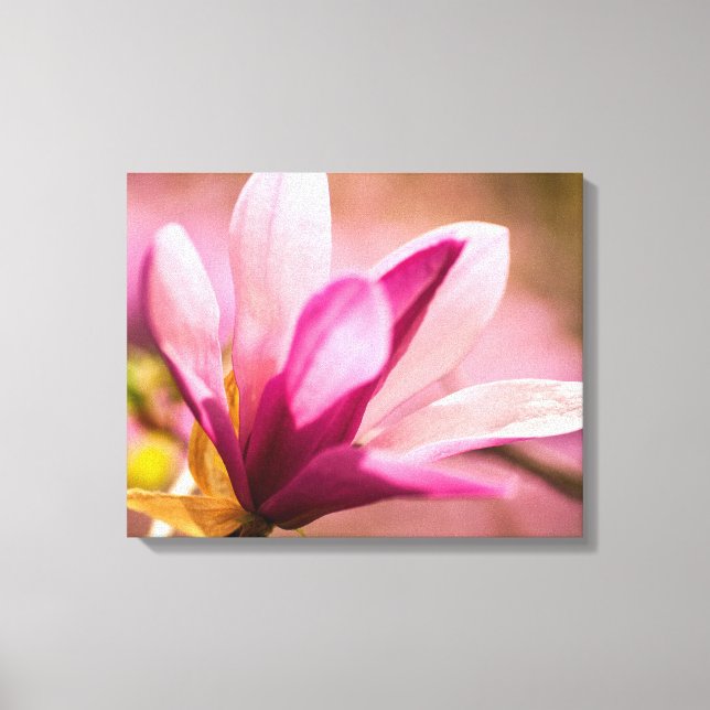 Pink Magnolia Canvas Print (Front)