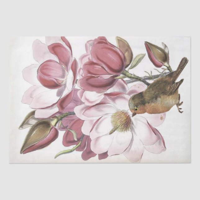Pink Magnolia Flower Botanical Robin Bird Craft Tissue Paper (Front)