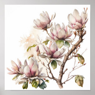 Pink Magnolia Flowers Art Print Poster