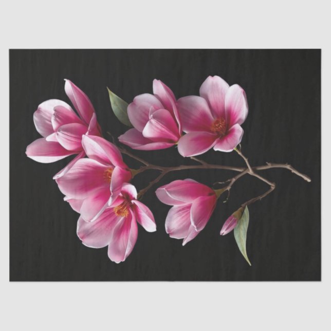Pink Magnolia Flowers Tissue Paper (Front)