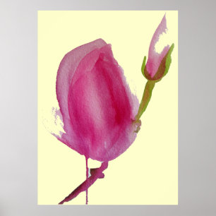 Pink Magnolia large pink flower watercolour art Poster