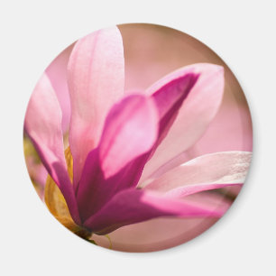 Pink Magnolia Magnet
