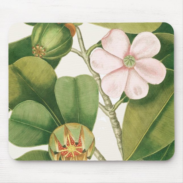 Pink Magnolia Mouse Pad (Front)