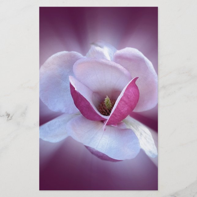 pink magnolia shades stationery (Front)