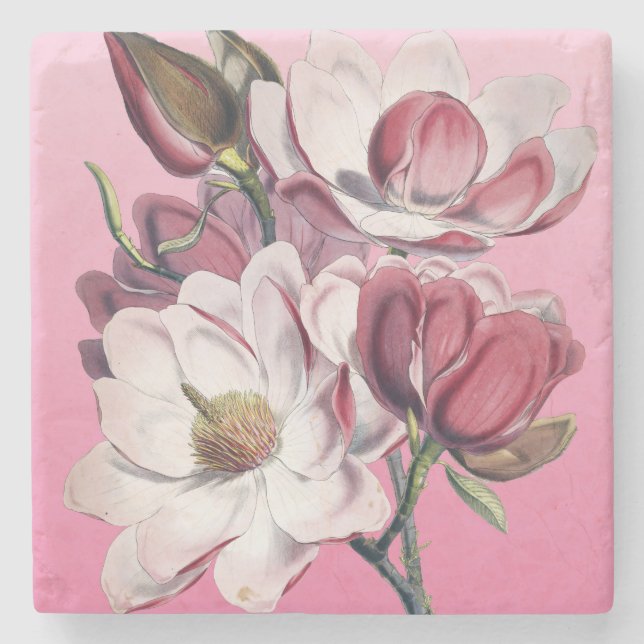Pink Magnolia Stone Coaster (Front)