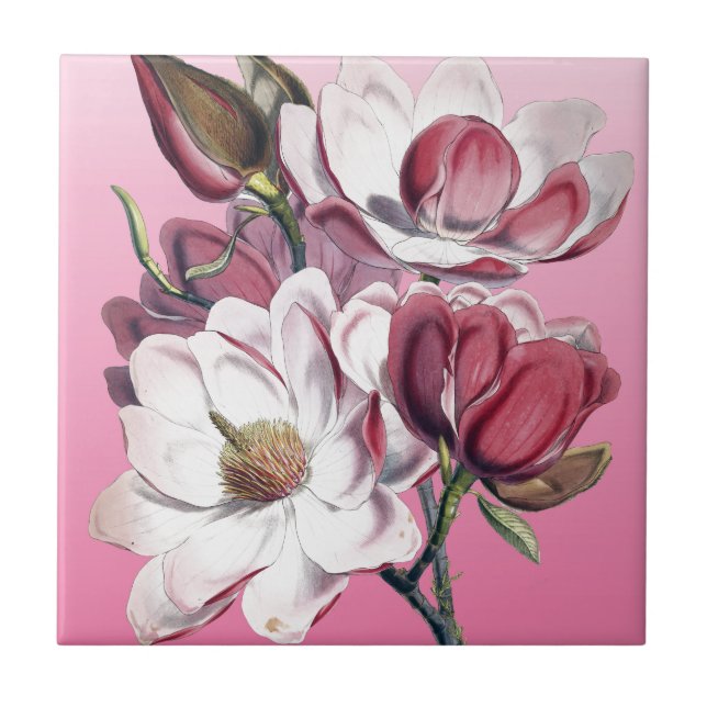 Pink Magnolia Tile (Front)
