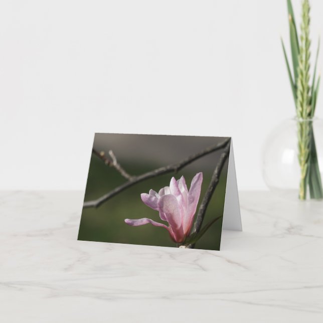 Pink Magnolia Tree in Bloom Card (Front)