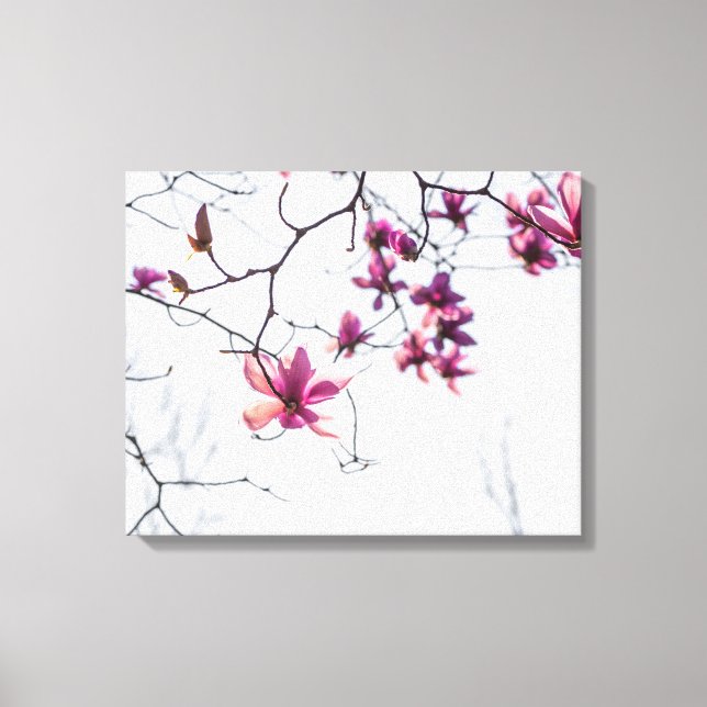 Pink magnolias canvas print (Front)
