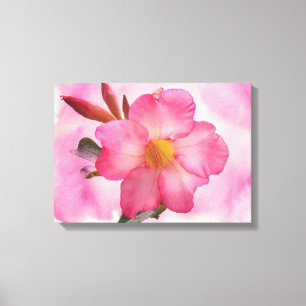 Pink Mandevilla Vine Canvas Print