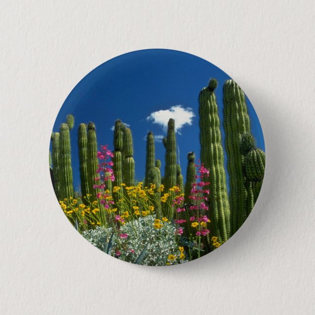 Pink Many plants, Sonoran Desert, Arizona flowers 6 Cm Round Badge (Front)