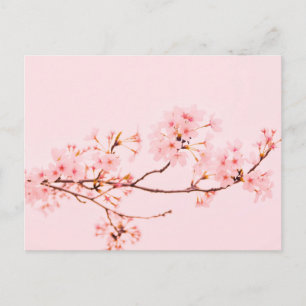 pink marble flower Postcard