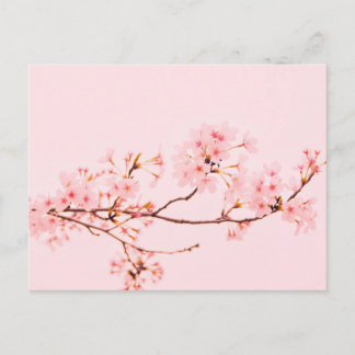 pink marble flower Postcard