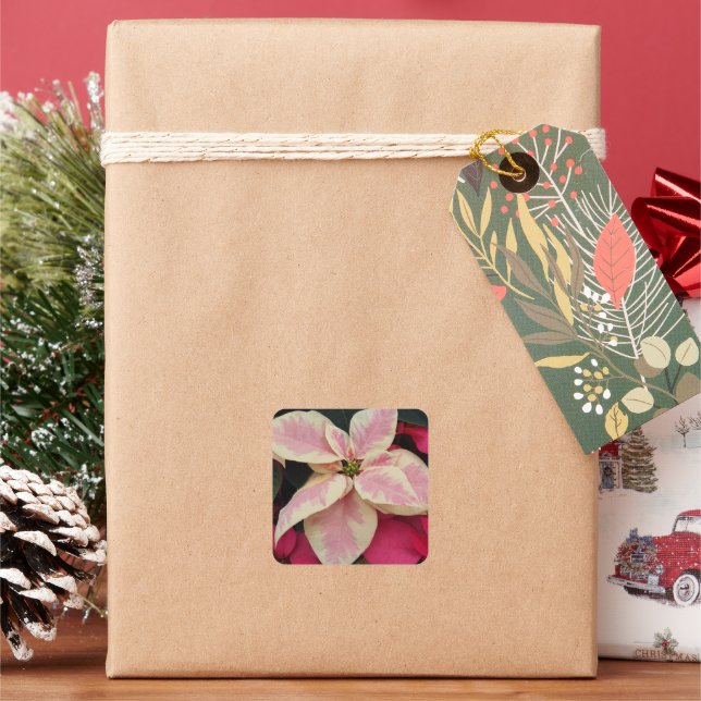 Pink Marble Poinsettia Holiday Square Sticker (Holiday)